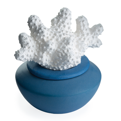 Coral Porcelain Passive Diffuser